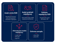 alto jak pomagamy wsparcie doradca warszawa kontrola pip umowy b2b