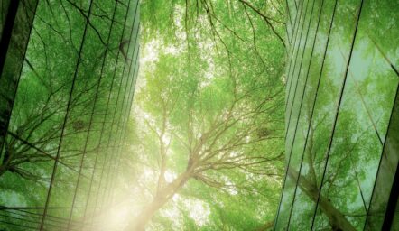 esg las biuro zrównoważony rozwój drzewa natura zieleń