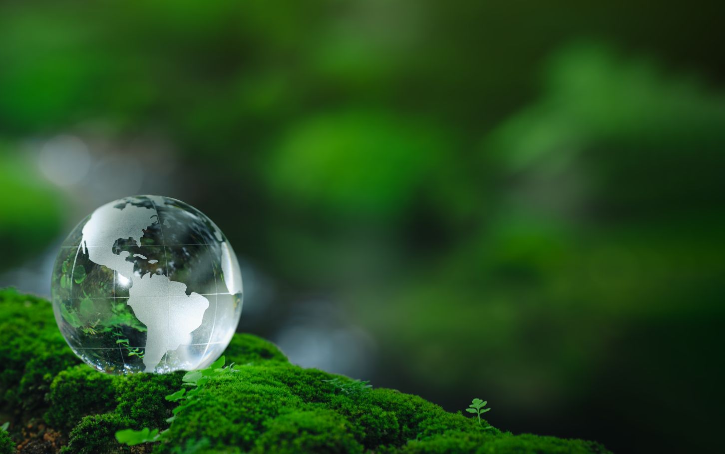 [WEBINAR] Zmiany w ESG i na świecie – co dalej z obowiązkami firm?