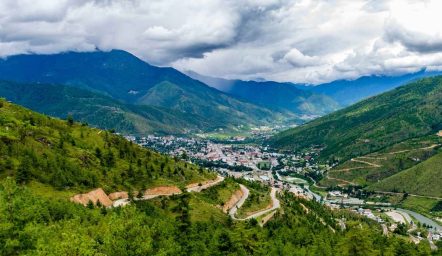 natura góry wylesianie eudr