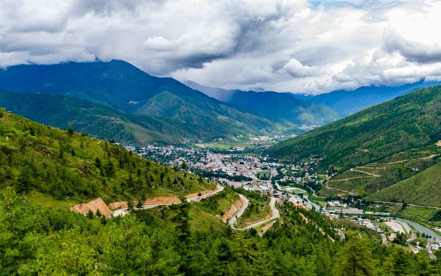 [WEBINAR] EUDR update: co&nbsp;firmy muszą wiedzieć po&nbsp;zmianach z&nbsp;grudnia 2025&nbsp;r.