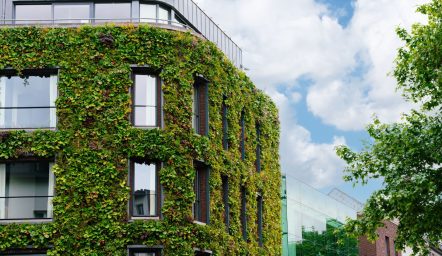 esg csrd eudr odpowiedzialny biznes alto