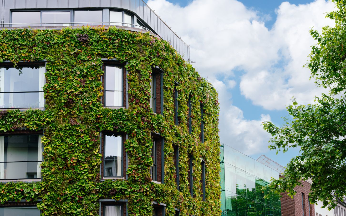 CSRD – co&nbsp;to&nbsp;jest i&nbsp;kogo dotyczy dyrektywa o&nbsp;raportowaniu zrównoważonego rozwoju w&nbsp;2026 roku? 