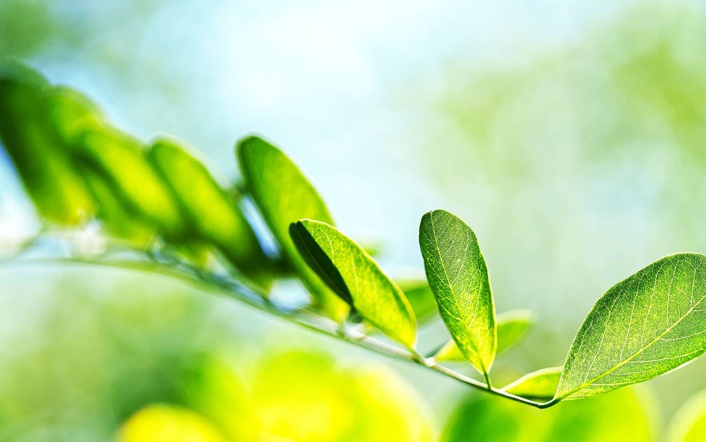 [WEBINAR] EUDR – przyspieszamy czy&nbsp;zwalniamy? Od&nbsp;przepisów do&nbsp;faktycznej gotowości.